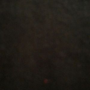 Meet your Posher, Lorena